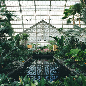 国产福利社久久久
